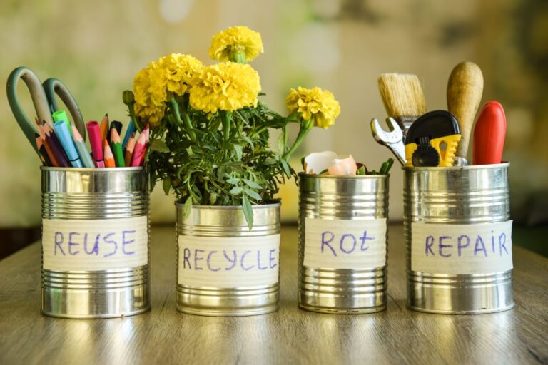 Effective waste management tips you can do at Home